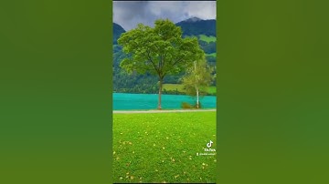 من الآية 189 إلى الآية 194 من سورة آل عمران بصوت القارئ هشام الهراز رواية ورش