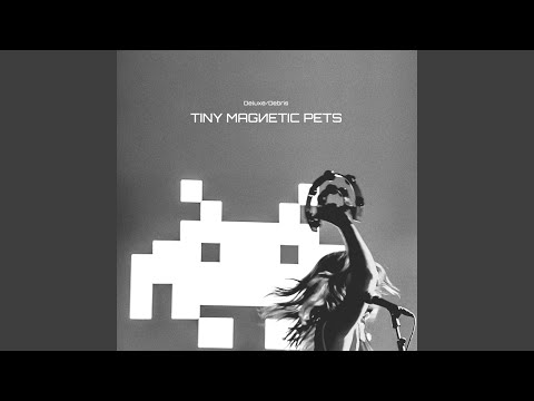 Tiny Magnetic Pets — Never Alone
