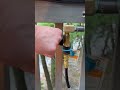 Using the timer & Charbroil Gas Grill (if you need manual lighting instruction see description)