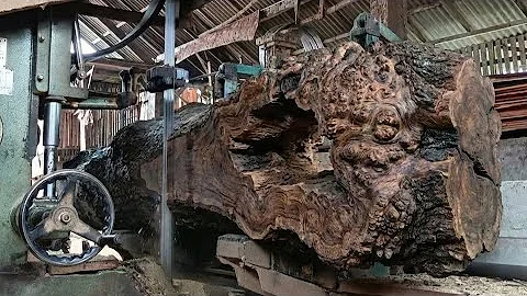 Sawing old teak wood which has very exotic grain at the sawmiil