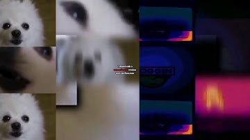 62 scans are with slides v1 avs version