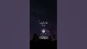 ماتيسر من سورة لقمان - القارئ : احمد النفيس " راحة نفسية 💚.