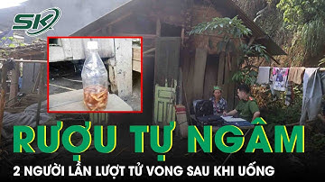 Nhiều Vụ Ngộ Độc Do Rượu Thuốc, Bác Sĩ Khuyến Cáo Người Dân Không Tự Ý Ngâm Dùng |SKĐS
