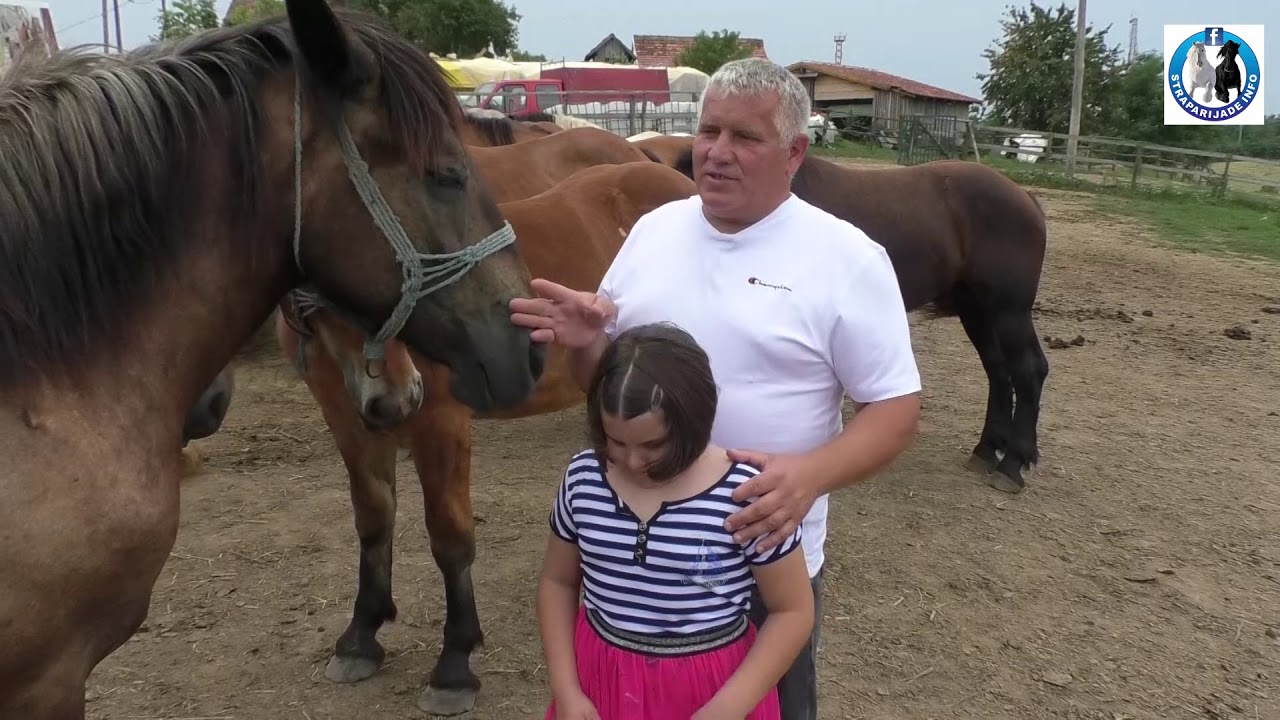 -Elitna grla sa ranča Mehmedović u Kozarskoj Dubici -2019