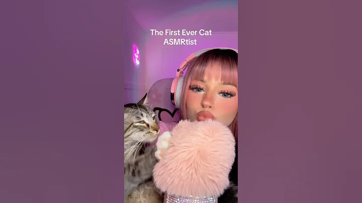 The First Ever Cat ASMRtist 😽✨ #tingles #cute #cat #asmr #purr