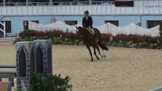 video of truman ridden by christopher payne from shownet