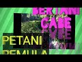 Belajar Bertani Menanam Cabe Merah