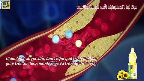 Dầu ăn hướng dương Efko Food Professional nhập khẩu Liên Bang Nga