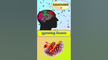 Memory Test|challenge 4 #memorygame#memorytest #tamil #games #memory #shorts #sindi