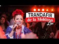 VERONA ADAMS - Trandafir de la Moldova - LIVE - Solista muzica populara nunti
