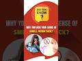 Why Do You Lose Your Smell When You're Sick? | #ytshorts #trending #facts #asianentcarecentre
