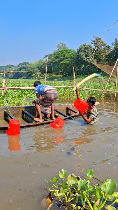 Download lagu #dance #dancecover #haryanvisong #song #tiktokviralsong #banglanewdance2025 #bukervitorthaikobondhu