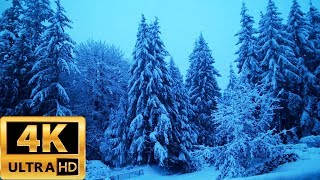 Winter 2017 4K UHD