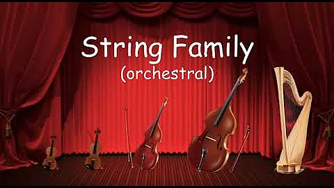 The String Family - Listen to the instruments of the strings family! - Orchestra for Kids