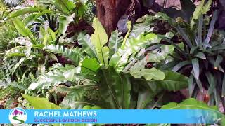 Successful Garden Design Tips 20 - Evergreens - Winter wonders
If youd like to download the free cheat sheet mentioned in the video go to: https://www.successfulgardendesign.com/wow/
Happy New Year! Heres one that was filmed at the end of last year on how to use evergreens in the garden. Successful Garden Design Tips 20 - Evergreens - Winter wonders