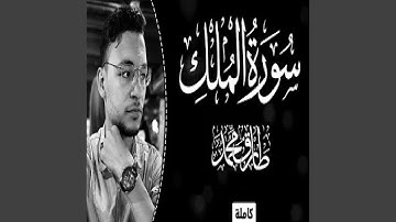 طارق محمد سورة الملك