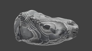 3D Photogrammetry   examples