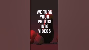 We Turn Your Photos Into Videos