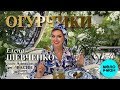 Елена Шевченко feat. Александр Васин группа "Хорошая песня" (баян) – Огурчики (Single, 2025)