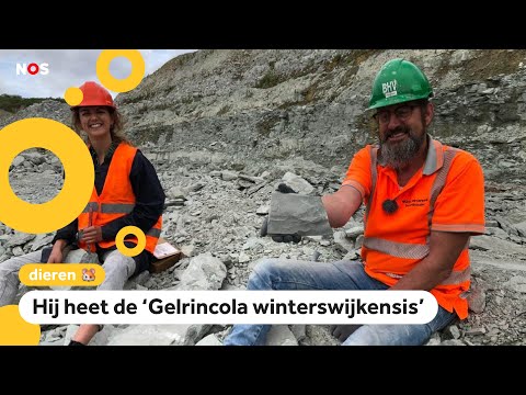 Video: Kaakontwerp 'opgesloten' 400 Miljoen Jaar Geleden