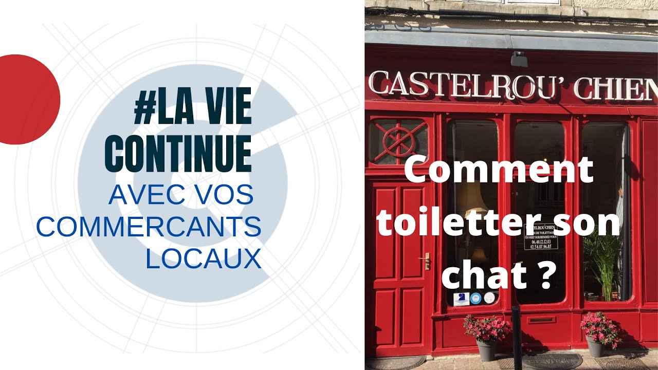 Celine Castelrou Chien A Chateauroux Nous Montre Comment Faire Un Toilettage Express Pour Son Chat Youtube