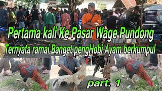 PERTAMA KALI KE PASAR WAGE PUNDONG.!! TERNYATA RAMAI BANGET PENGHOBI AYAM BERKUMPUL DISINI.!! part 1