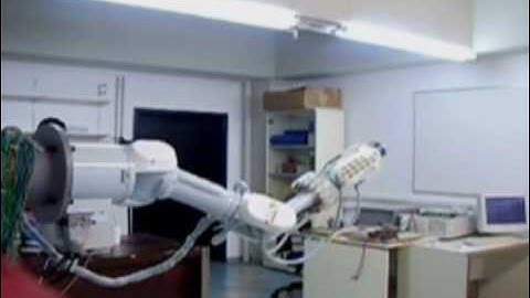 A biomimetic approach to inverse kinematics for a redundant robot arm