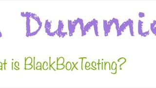 What is Blackbox Testing