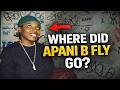 The Unexpected Disappearance of Apani B Fly