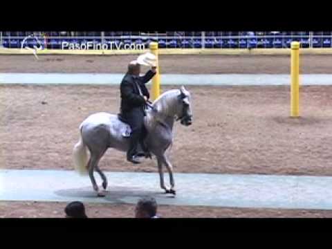 Ponce 2012 Caballos De Paso Fino 72 a 90