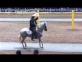 Ponce 2012 Caballos De Paso Fino 72 a 90