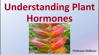Understanding Plant Hormones