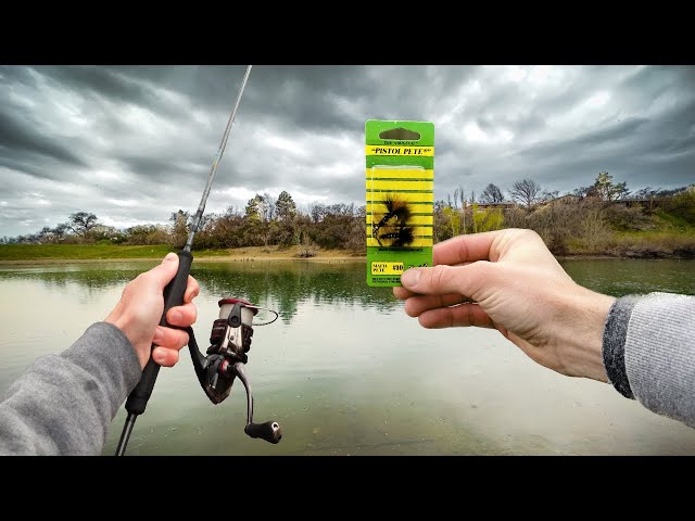 POND Fishing for Trout with PISTOL PETE FLIES in the RAIN 