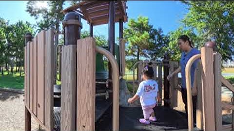 Insta360 X5 AI Edit Color Plus*