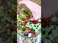 If your vegan meals leave you hungry later… try this