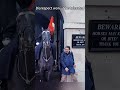 🎩 ROYAL GUARD RESPONDS TO RUDE TOURIST!#ROYAL GUARD #RUDE TOURIST #MILITARY HONOR