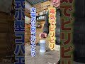 今年も登場電電撃殺虫シリーズ #shorts #アウトドア #キャンプ #掃除