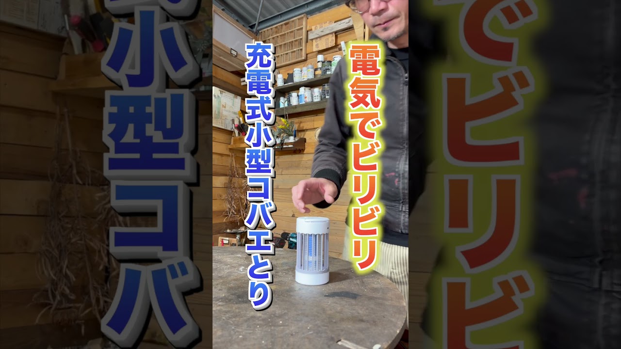 今年も登場電電撃殺虫シリーズ #shorts #アウトドア #キャンプ #掃除