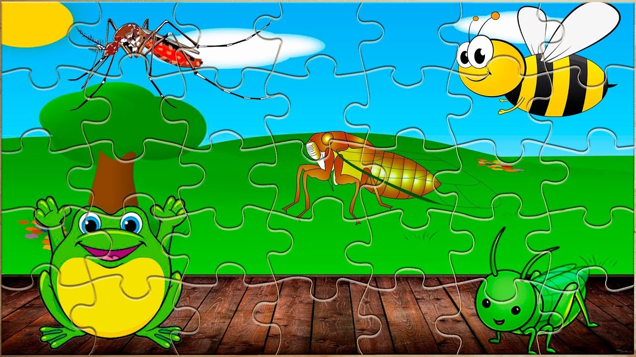 Rompecabezas para niños) - ADIVINA SONIDOS DE LOS INSECTOS - Puzzle for kids YouTube