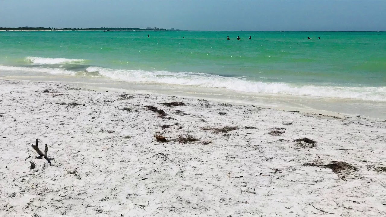 Honeymoon Island YouTube
