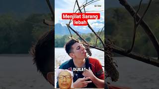 Cara Aman atasi sarang lebah di rumah #shortvideo #tips #trik