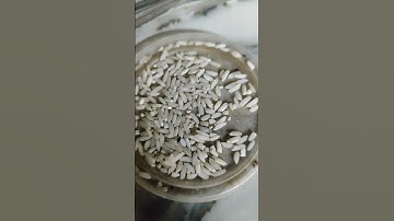 2 अक्टूबर आशिन महीने की अमावस्या के दिन करे चावल और कपूर से #pradeepmishrakeupay #shivpuran #mahadev