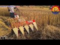 VST SHAKTI 5 PR Reaper 🌾| अब फसल काटना हुआ और भी आसान | फसल काटने की मशीन। #pankajtradersjamui