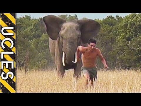 ELEPHANT ATTACK: Chasing the truth with Andrew Ucles - Ucles vs Africa