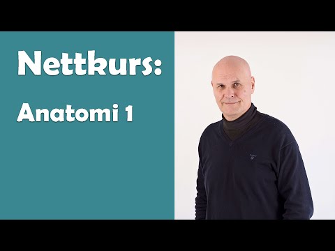 Nettkurs i nevrobiologi del 4: Anatomi