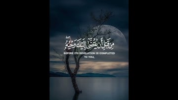 تلاوات خاشعة لجميع القرآء على قناة تلاوات خاشعة وتلاوات هادئه #تلاوات #خاشعة #قرآن #تلاوات_هادئه (1)