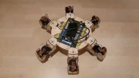 Hexapod Tripod Gait
