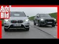 Duell hinter'm Deich: Audi Q3 gegen BMW X1 (2019) Vergleich / Test / Review