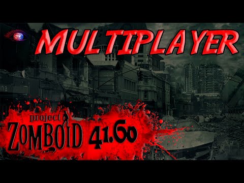 Multiplayer 41.60 в игре Project Zomboid