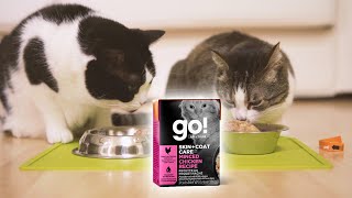 Cat Food Taste Test Go Solutions Skin Coat Care Minced Chicken With Gravy Recipe